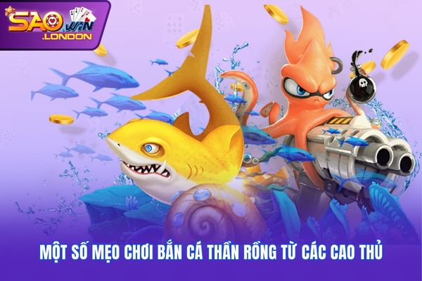 Một số mẹo chơi bắn cá thần rồng từ các cao thủ