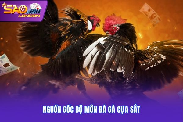 Nguồn gốc bộ môn đá gà cựa sắt