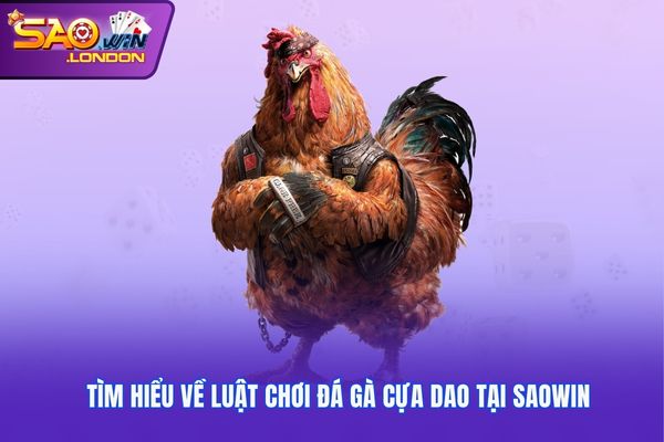 Tìm hiểu về luật chơi đá gà cựa dao tại Saowin